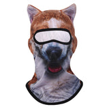 Red Shiba