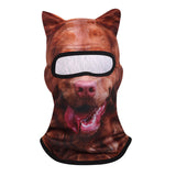 Boxer