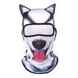 Arctic Husky