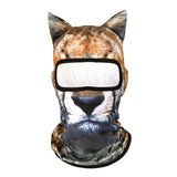 Bobcat