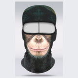Chimp