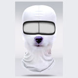 Polar Pup