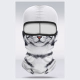 Silver Tabby
